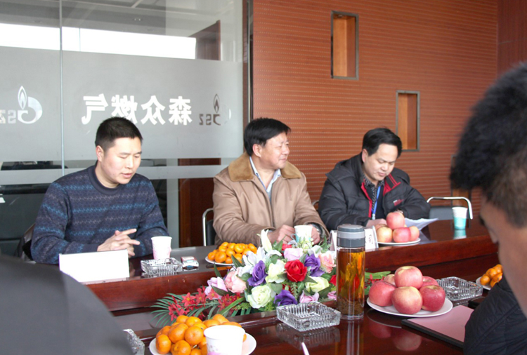 林口县政府与乐竞官方网站-乐竞(中国)燃气项目洽谈.png